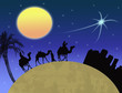 Three wisemen