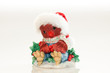 Christmas Owl Ornament