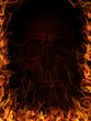 Skull in the dark with fire and flames Skull in the dark with fire and flames