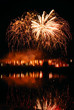 Firework