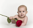 Baby Holding Rose Baby Holding Rose