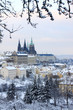 First Snow in Prague, gothic Castle with snowy Trees First Snow in Prague, gothic Castle with snowy Trees