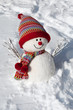 Schneemann