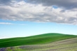 spring field landscape