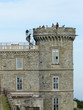 observatoire du Mont Aigoual