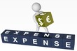 Cubes - 253 - EXPENSE