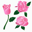 Vektor: rosen rosen