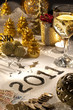 2011 new year