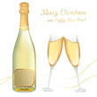 glasses of champagne with bottle. vector. glasses of champagne with bottle. vector.