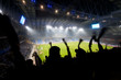 Fans celebrating a goal on football / soccer match Fans celebrating a goal on football / soccer match