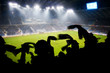 Fans celebrating a goal on football / soccer match