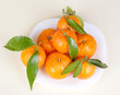 Mandarins on the plate