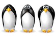 3 pinguini