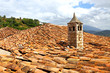 chimey on red clay shingles roof
