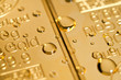 drops on a gold