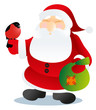 santa take bullfinch