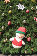 Christmas trees.