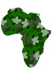 africa