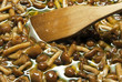 funghi chiodini cotti