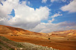 Desert Sinai in the morning in December Desert Sinai in the morning in December