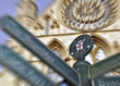 York signpost