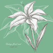 Vintage floral card