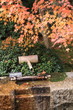 龍安寺の紅葉と湧水