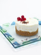 portion of a cheese cake with cranberries