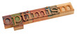 optimism p word in letterpress type
