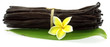 fleur jaune de frangipanier sur botte de vanille Bourbon