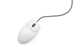 computer mouse