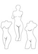 Contours of sculptures - Venus (Aphrodite) - goddess of love