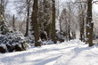 Winterlich