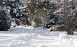 Winterlich