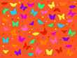 orange background with butterfly - vector orange background with butterfly - vector