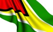 Flag of Guyana