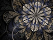 Winter cold fractal flower Winter cold fractal flower