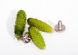 Very small cucumbers with screws