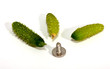 Very small cucumbers with screw