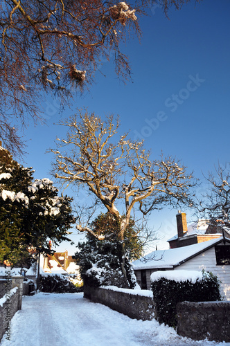 Photo: Snowy street Snowy street