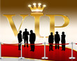 VIP Gala