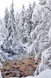 Beautiful Winter Torrent