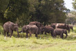 National Park  Yale - Sri lanka - different views