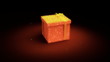 Opening Gift Box
