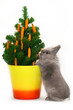 Foto: Bunny with christmas tree decorated with carrots Bunny with christmas tree decorated with carrots
