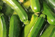 Courgette / Zucchini - Cameron Highlands, Malaysia