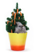 Bunny in the pot with christmas tree decorated with carrots