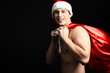 sexy santa