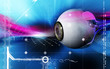 Eye