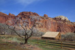 Capitol Reef National Park Capitol Reef National Park